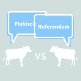 日本語訳は全く同じ「Referendum」と「Plebiscite」のニュアンスの違いとは？