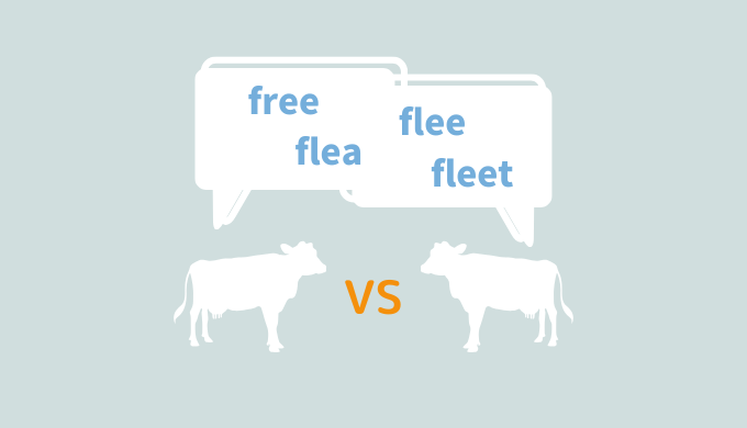 発音とスペルが紛らわしい英単語【free, flee, flea, fleet】の意味を明確に区別しよう
